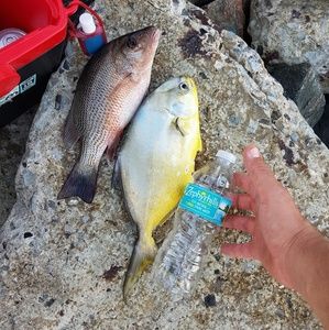 Meet your Posher, Ervis